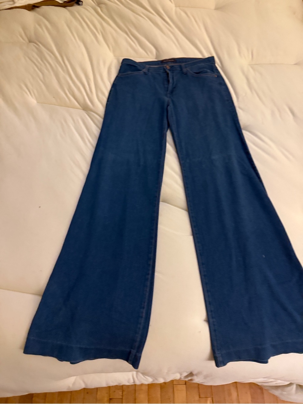 James Jean Low Rise stretch Women’s Palazo Jean sz 29